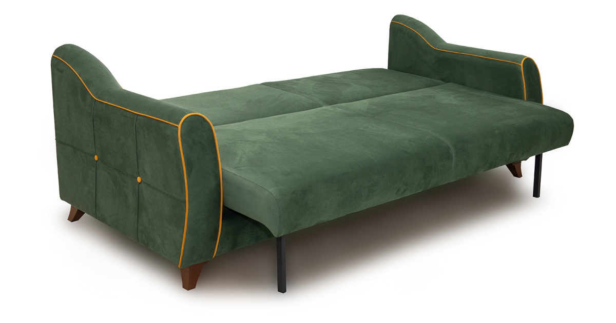 Frensis_pryamoi_t (19)